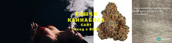 spice Козельск