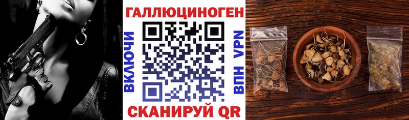 Псилоцибиновые грибы Psilocybine cubensis  Купить где  Дивногорск 
