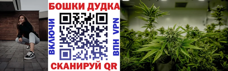 Купить закладки  Дивногорск  Канабис SATIVA & INDICA 